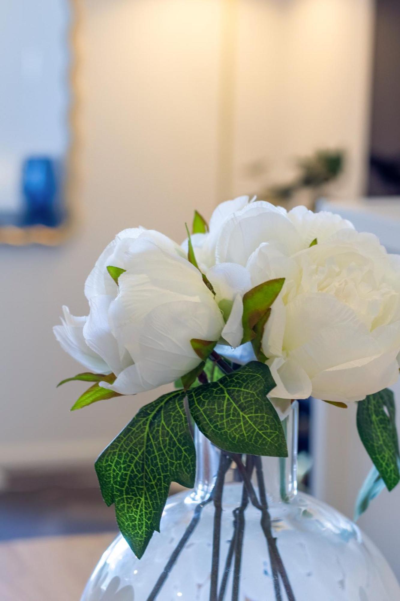 Explore From 8 Wilmer: Upper Level Cozy Studio كريستتشيرش المظهر الخارجي الصورة